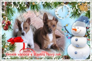 vanoce-2011.jpg